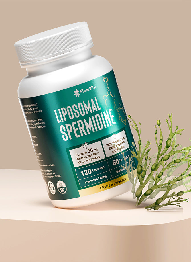 Lisopomal Spermidine